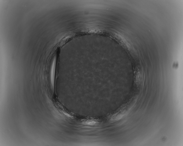 X0000097620643200803071511