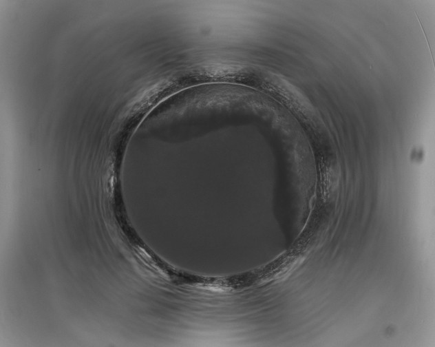 X0000097620644200803071511