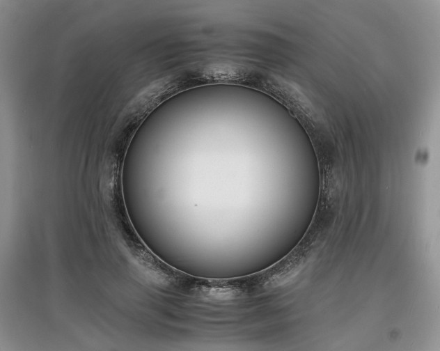 X0000097620645200803071511
