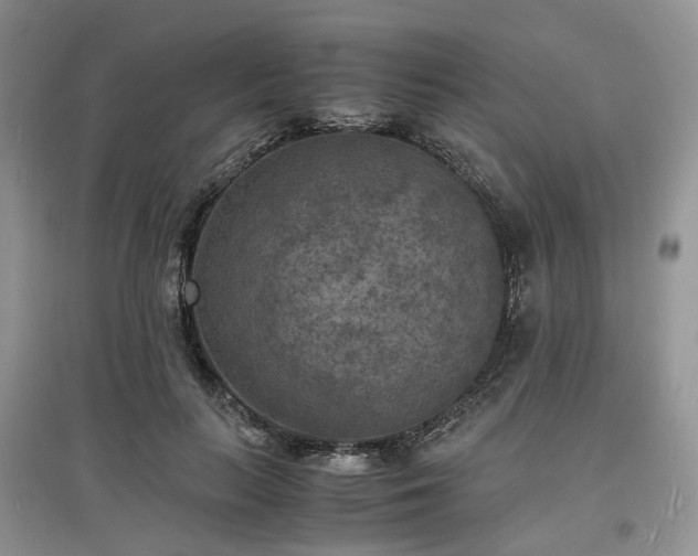 X0000097620647200803071511