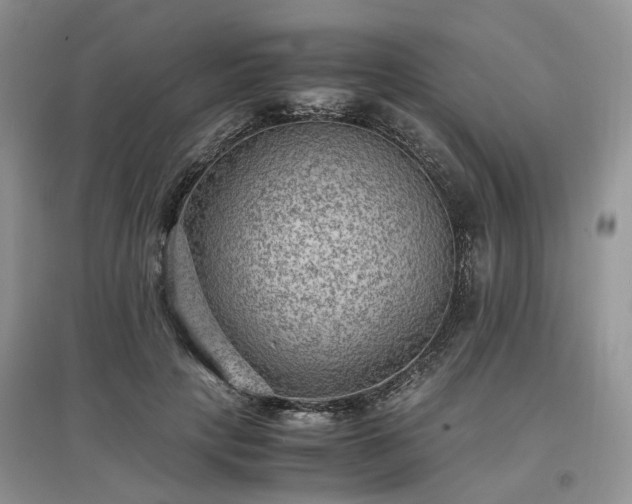 X0000097620649200803071511