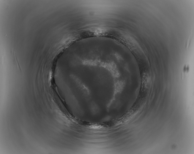 X0000097620650200803071511