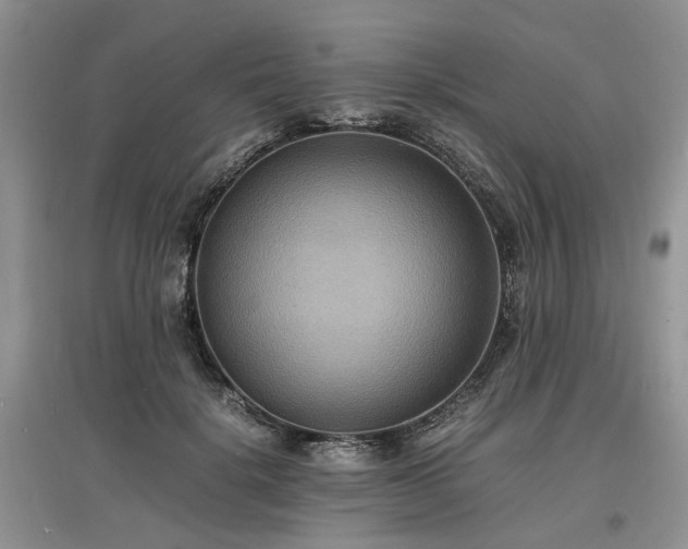 X0000097620652200803071511
