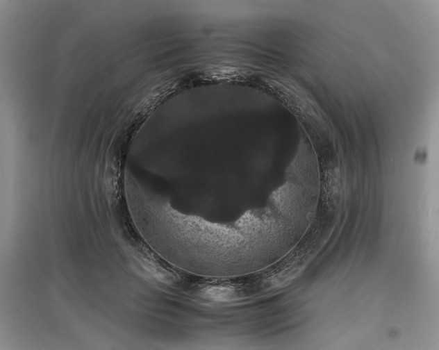 X0000097620653200803071511