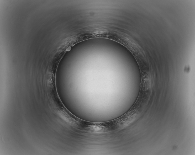 X0000097620654200803071511