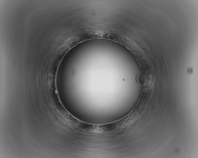 X0000097620656200803071511