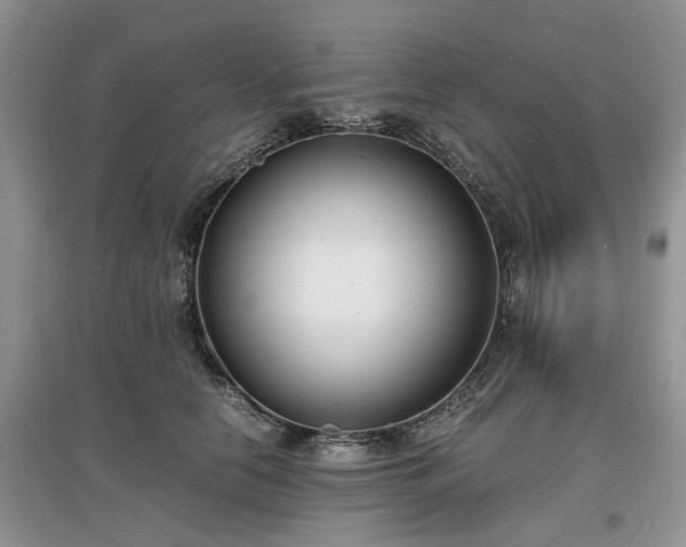 X0000097620658200803071511