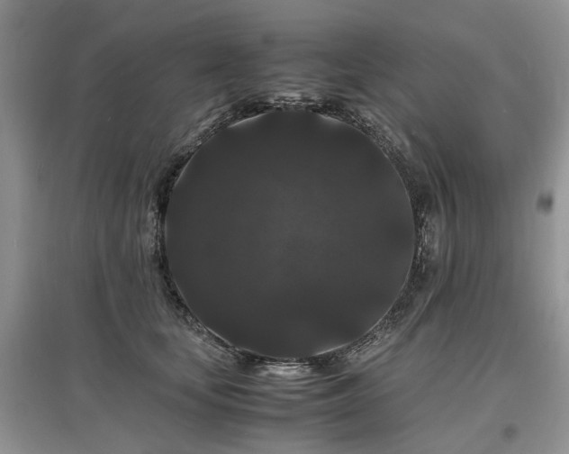 X0000097620659200803071511