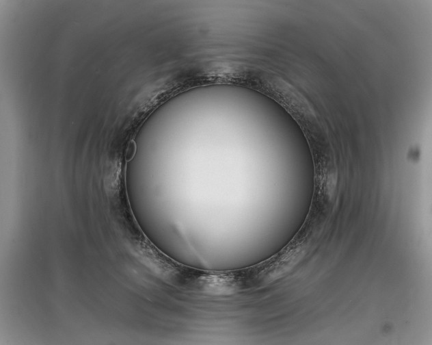 X0000097620660200803071511