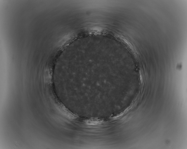 X0000097620661200803071511