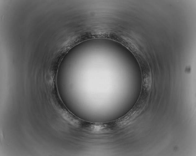 X0000097620662200803071511