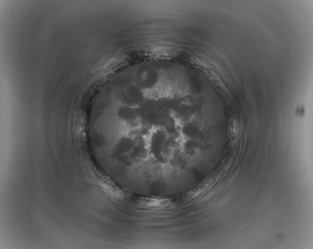 X0000097620663200803071511