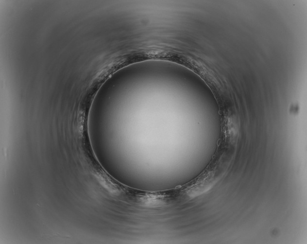 X0000097620664200803071511