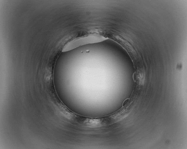X0000097620665200803071511