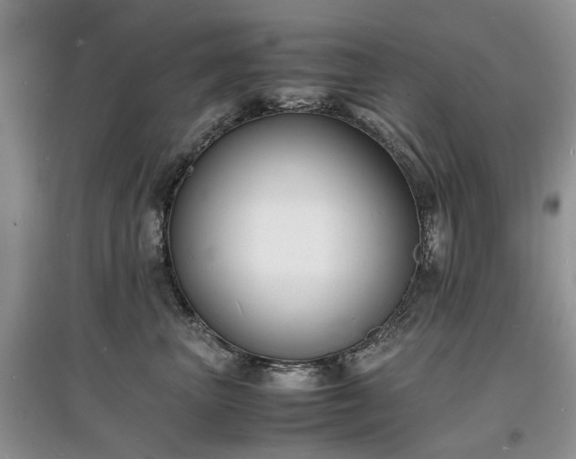 X0000097620667200803071511