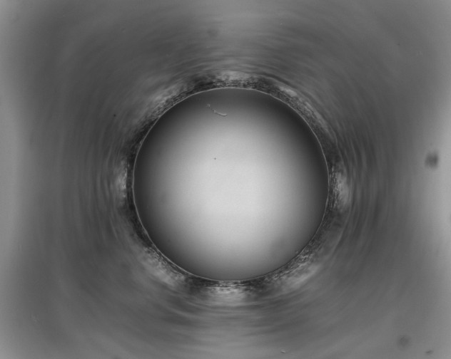 X0000097620668200803071511