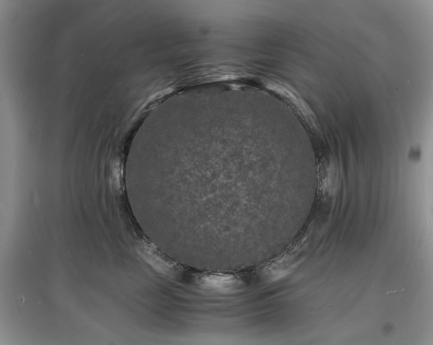 X0000097620669200803071511