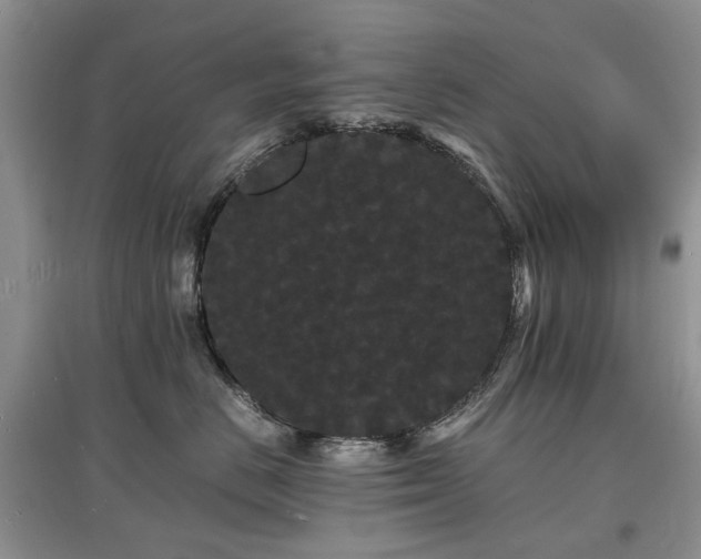 X0000097620670200803071511