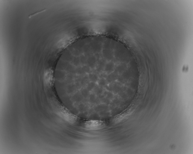 X0000097620672200803071511