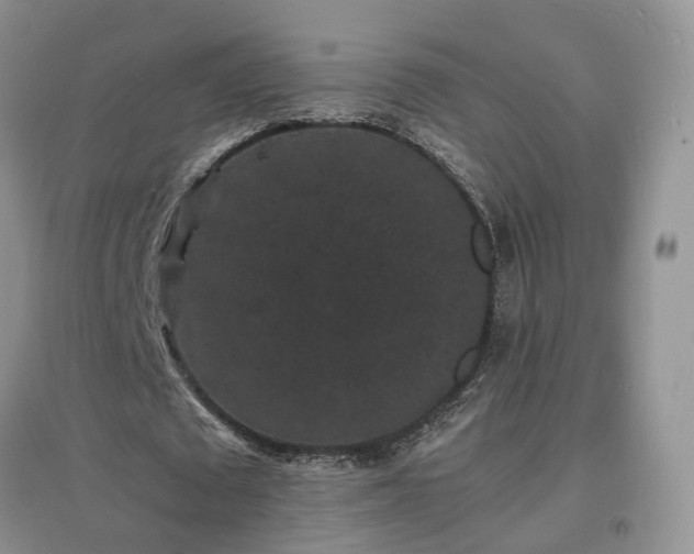 X0000097620673200803071511