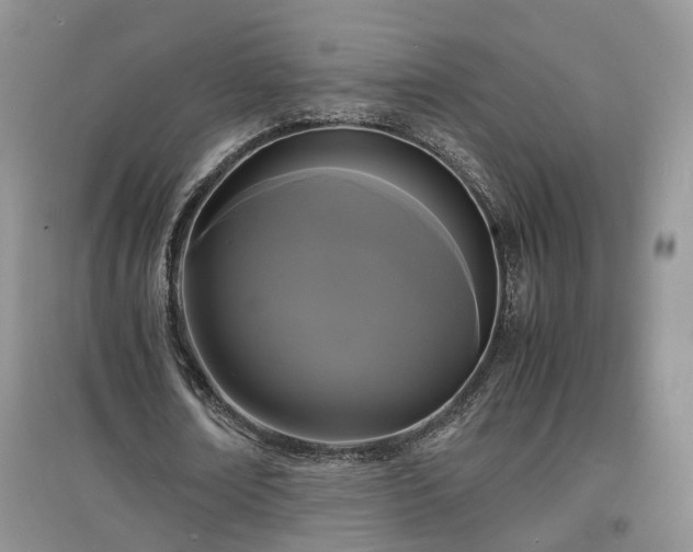 X0000097620674200803071511