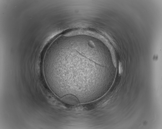 X0000097620675200803071511