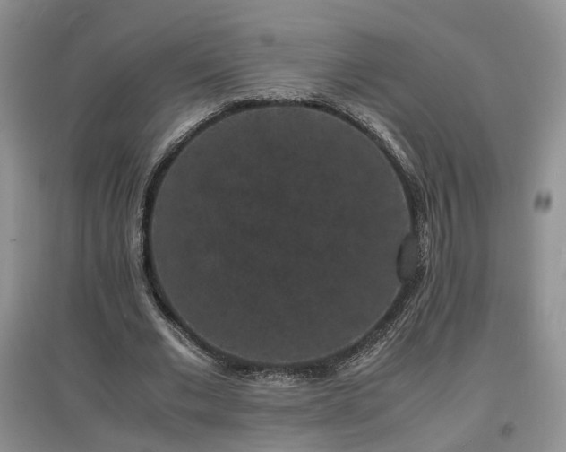 X0000097620677200803071511