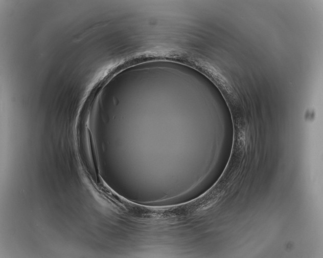 X0000097620678200803071511