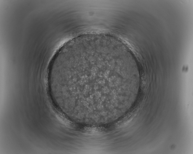 X0000097620679200803071511