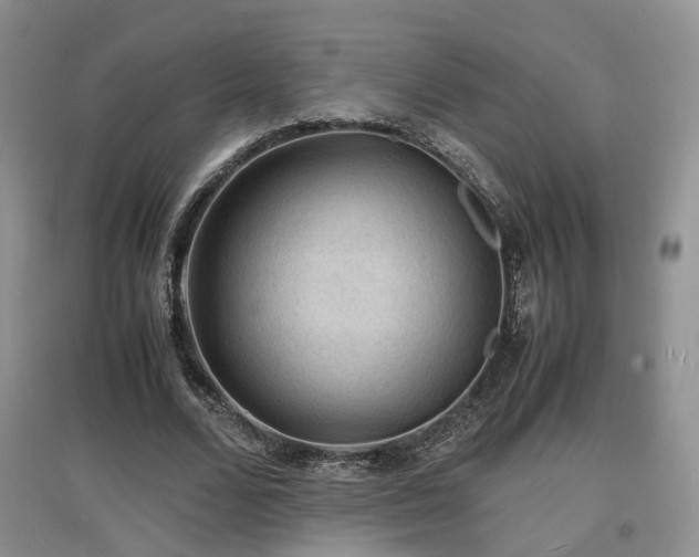 X0000097620680200803071511
