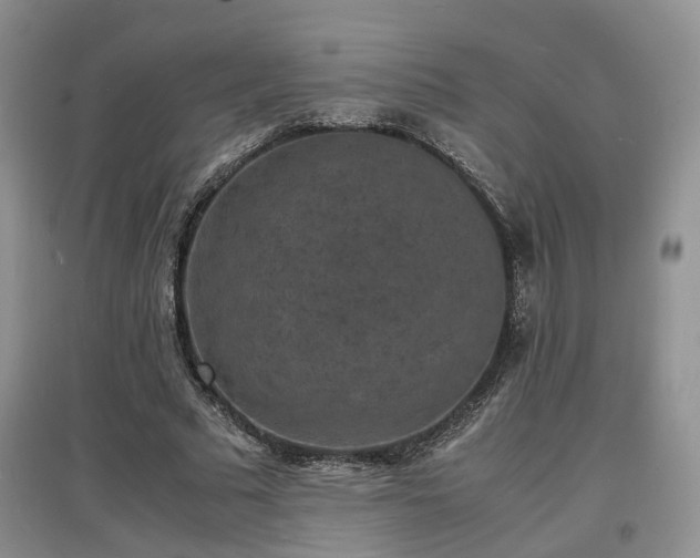 X0000097620681200803071511