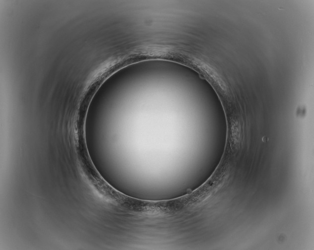 X0000097620682200803071511