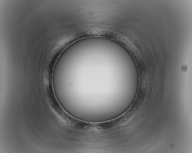X0000097620683200803071511