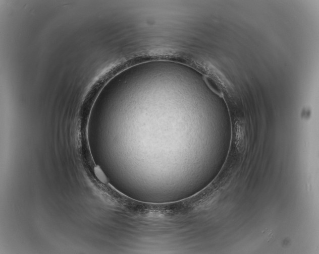 X0000097620684200803071510