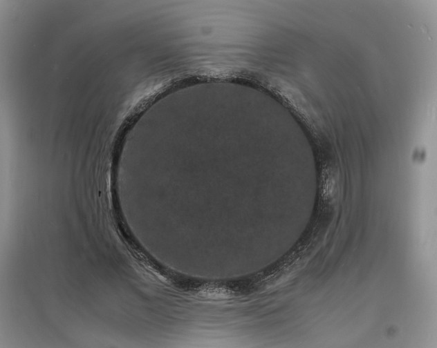 X0000097620685200803071510