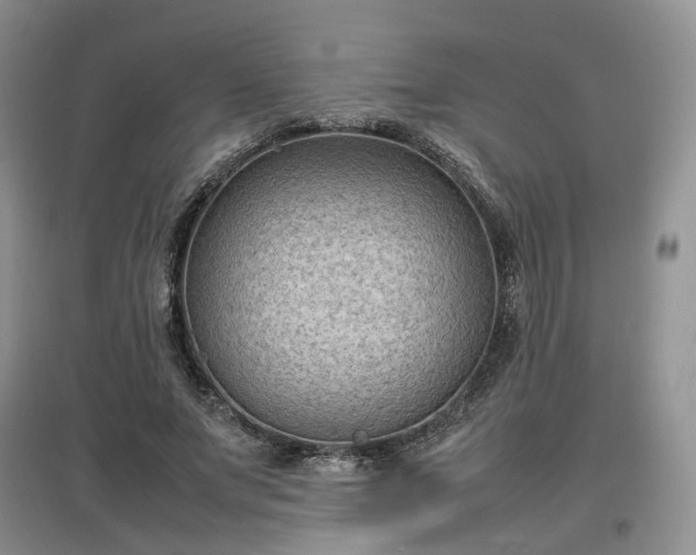 X0000097620687200803071510