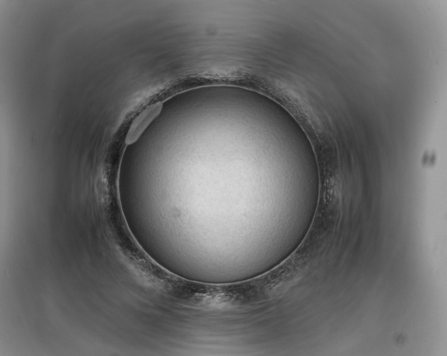 X0000097620688200803071510