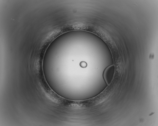 X0000097620690200803071510