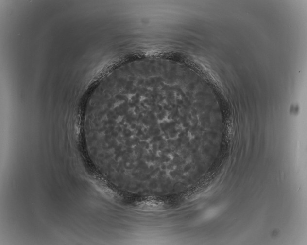 X0000097620691200803071510