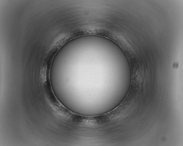 X0000097620694200803071510