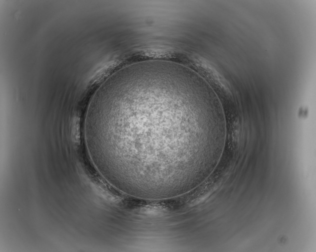 X0000097620696200803071510