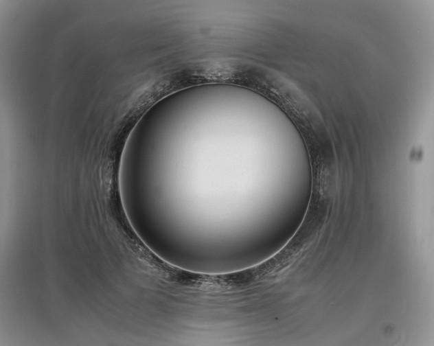X0000097620697200803071510