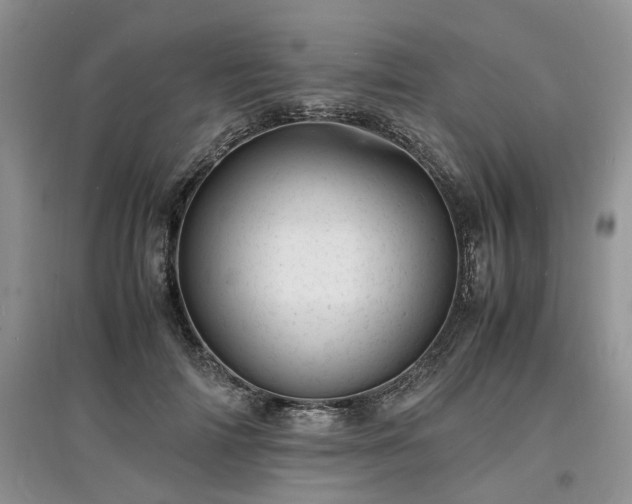 X0000097620698200803071510