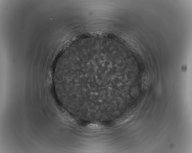 X0000097620699200803071510