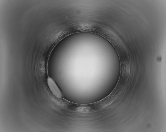 X0000097620700200803071510