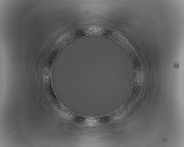 X0000097620701200803071510