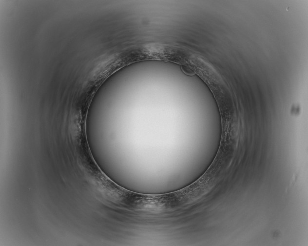 X0000097620702200803071510