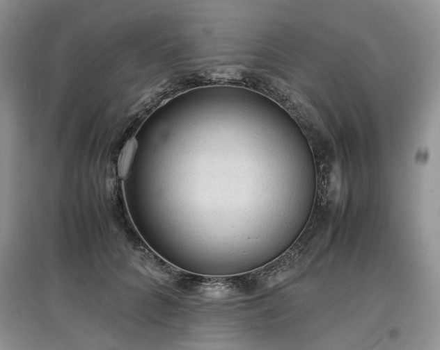 X0000097620704200803071510