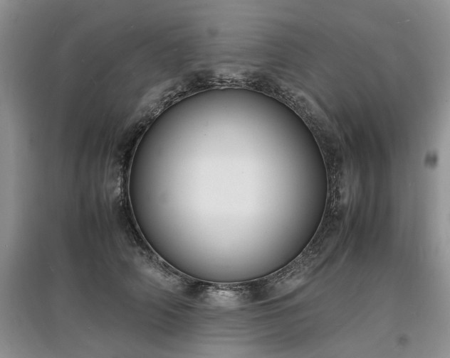 X0000097620706200803071510