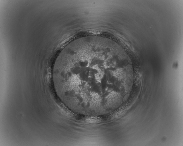 X0000097620707200803071510